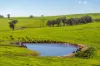 1067 Pulletop Road, Cookardinia, NSW 2650-Image