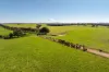 1067 Pulletop Road, Cookardinia, NSW 2650-Image