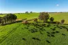 1067 Pulletop Road, Cookardinia, NSW 2650-Image