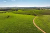 1067 Pulletop Road, Cookardinia, NSW 2650-Image