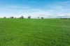 1067 Pulletop Road, Cookardinia, NSW 2650-Image