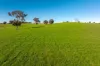 1067 Pulletop Road, Cookardinia, NSW 2650-Image
