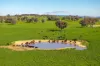 1067 Pulletop Road, Cookardinia, NSW 2650-Image