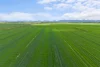 1077 Yarram Gap Road, Willaura, Vic 3379-Image