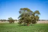 1089 Pedericks Road, Lochaber, SA 5271