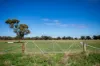 1089 Pedericks Road, Lochaber, SA 5271-Image