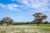 1089 Pedericks Road, Lochaber, SA 5271-Image