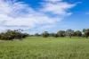 1089 Pedericks Road, Lochaber, SA 5271-Image