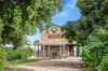 11 Maaoupe Road, Penola, SA 5277