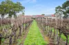 11 Maaoupe Road, Penola, SA 5277-Image
