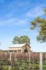 11 Maaoupe Road, Penola, SA 5277-Image