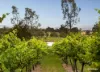 110 Wills Road, Dixons Creek, Vic 3775-Image