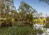 110 Wills Road, Dixons Creek, Vic 3775-Image