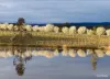 110 Wills Road, Dixons Creek, Vic 3775-Image