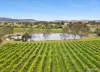 110 Wills Road, Dixons Creek, Vic 3775-Image