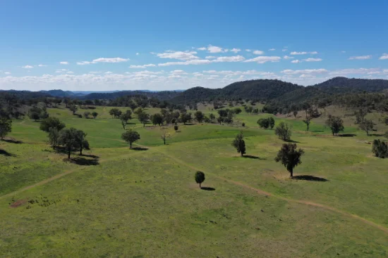 1102 Woodburn Emello Road, Barraba, NSW 2347