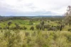 1102 Woodburn Emello Road, Barraba, NSW 2347-Image