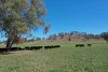 1102 Woodburn Emello Road, Barraba, NSW 2347-Image