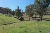 1102 Woodburn Emello Road, Barraba, NSW 2347-Image