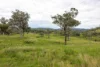 1102 Woodburn Emello Road, Barraba, NSW 2347-Image