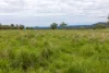 1102 Woodburn Emello Road, Barraba, NSW 2347-Image