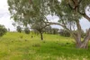 1102 Woodburn Emello Road, Barraba, NSW 2347-Image