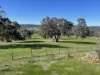 111 Forrest St, Boddington, WA 6390-Image