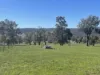 111 Forrest St, Boddington, WA 6390-Image