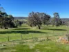 111 Forrest Street, Boddington WA 6390-Image