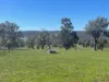111 Forrest Street, Boddington WA 6390-Image