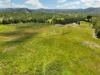 114 East Funnel Creek Road, Sarina Range, Qld 4737-Image