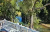 114 East Funnel Creek Road, Sarina Range, Qld 4737-Image