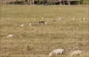 114 East Funnel Creek Road, Sarina Range, Qld 4737-Image