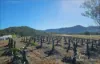 114 East Funnel Creek Road, Sarina Range, Qld 4737-Image