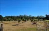 114 East Funnel Creek Road, Sarina Range, Qld 4737-Image