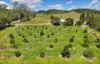 114 East Funnel Creek Road, Sarina Range, Qld 4737-Image