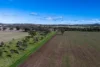 1140 Swinging Ridges Road, Willow Tree, NSW 2339-Image