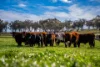1140 Swinging Ridges Road, Willow Tree, NSW 2339-Image