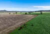1140 Swinging Ridges Road, Willow Tree, NSW 2339-Image
