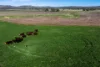 1140 Swinging Ridges Road, Willow Tree, NSW 2339-Image