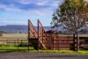 1140 Swinging Ridges Road, Willow Tree, NSW 2339-Image