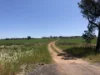 1157 Coonabarabran Road, Mendooran, NSW 2842-Image