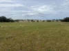 1157 Coonabarabran Road, Mendooran, NSW 2842-Image