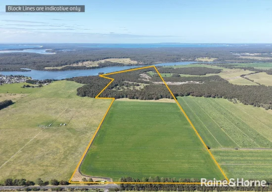 1170 Greenwell Point Road, Pyree, NSW 2540