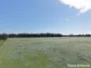 1170 Greenwell Point Road, Pyree, NSW 2540-Image
