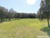 1170 Greenwell Point Road, Pyree, NSW 2540-Image