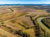 118 North, Moto NSW 2426-Image