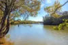 118 North, Moto NSW 2426-Image