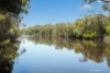 1181, Scott River WA 6288-Image