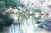 1181, Scott River WA 6288-Image
